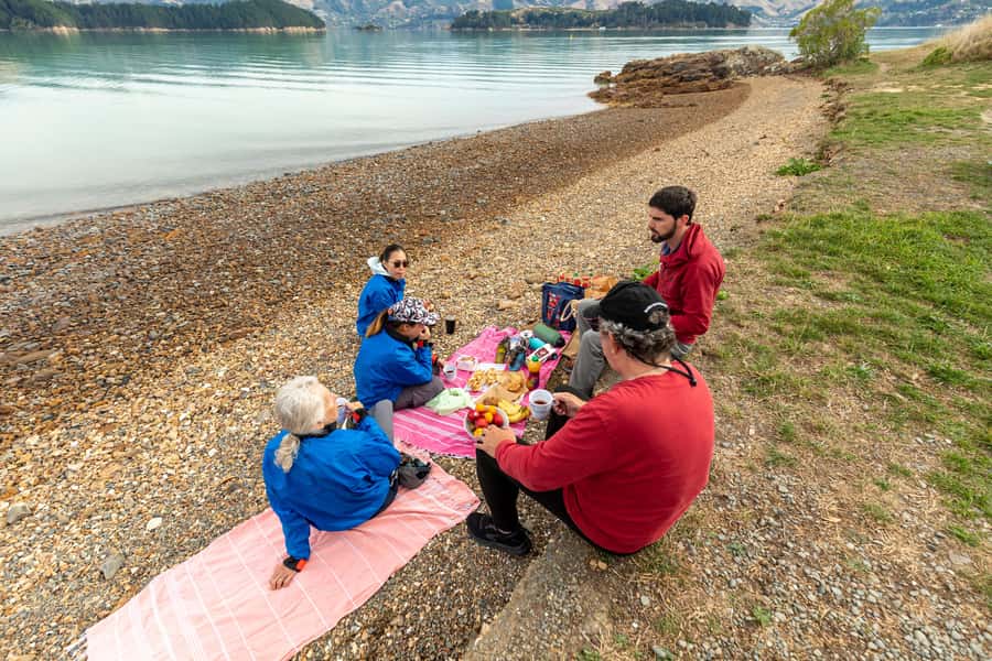 Christchurch: Sea Kayaking Tour of Lyttelton Harbour - What the $268 price buys you