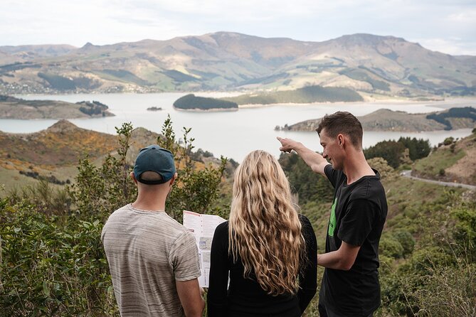 Christchurch Secret Inner City Walking Tour and Hidden Gems - A small group, but still a walking tour