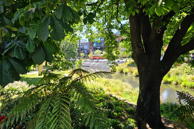 Christchurch Secret Inner City Walking Tour and Hidden Gems - Finding Christchurch beyond the main streets