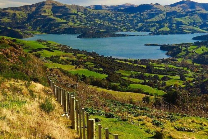 Christchurch Sheep Farm Visit - Weather, group size, and booking timing