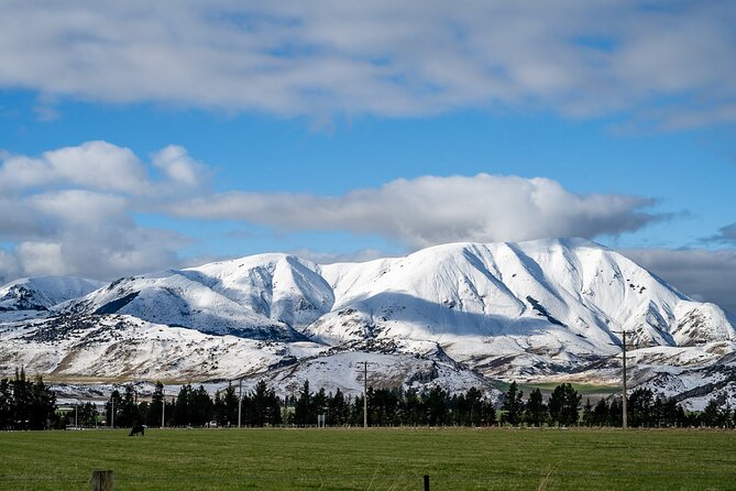 Christchurch to Arthur's Pass Day Tour: TranzAlpine Train & Lunch - Why this day trip works so well