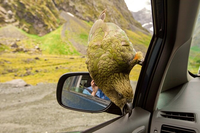 Christchurch to Arthur's Pass Day Tour: TranzAlpine Train & Lunch - Lake Pearson and the story of Ōpōrea