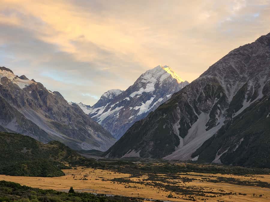 Christchurch to Mt Cook via Lake Tekapo (1 way) - Key points to know