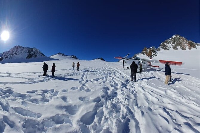 Christchurch to Mt Cook via Lake Tekapo One Way Small Group Tour - The small group and the value of a good guide