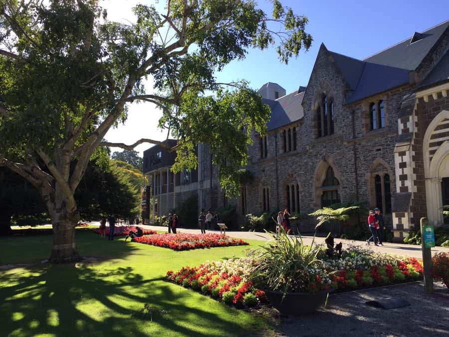 Christchurch: to Queenstown via Mt Cook 1 Way Tour - Jackson Orchards and Kawarau Gorge