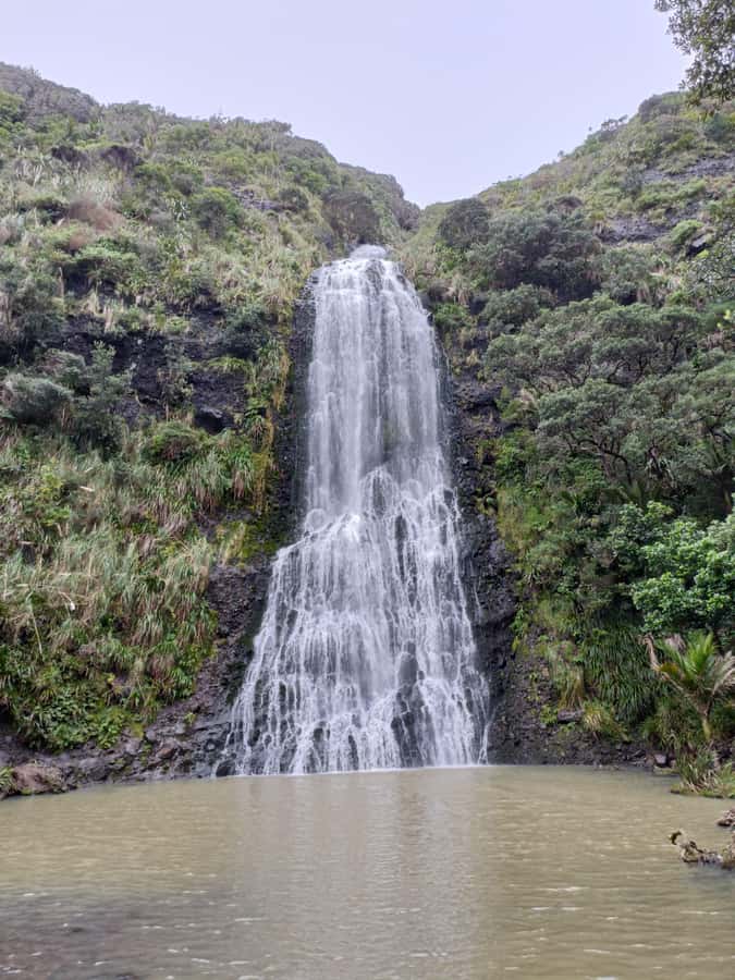 “City & Coast & Country” – A Relaxed Day Tour from Auckland - Karekare Falls adds a forest break