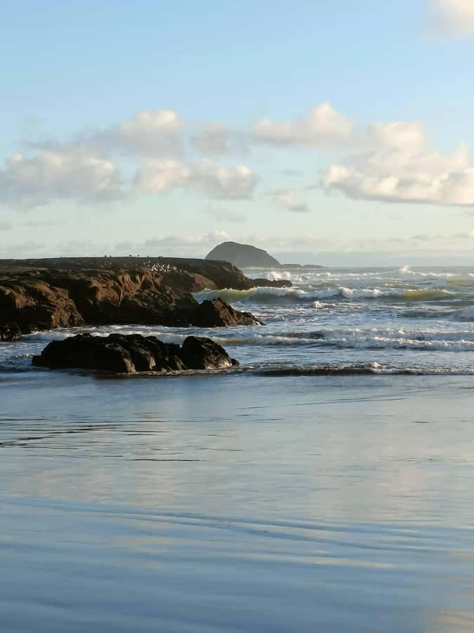 “City & Coast & Country” – A Relaxed Day Tour from Auckland - Optional Auckland views at Mount Eden