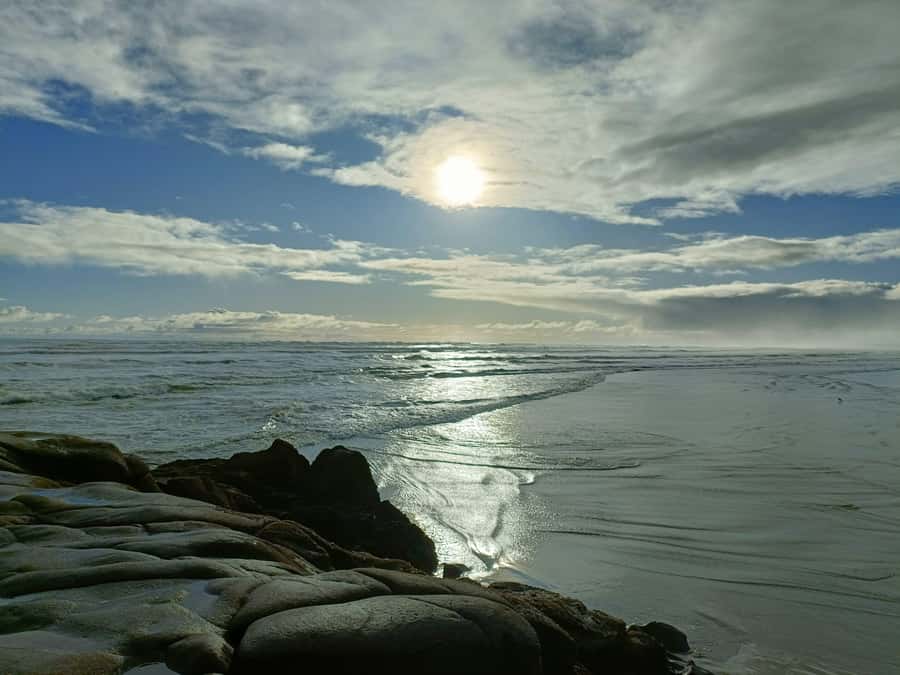 “City & Coast & Country” – A Relaxed Day Tour from Auckland - The guide makes the difference