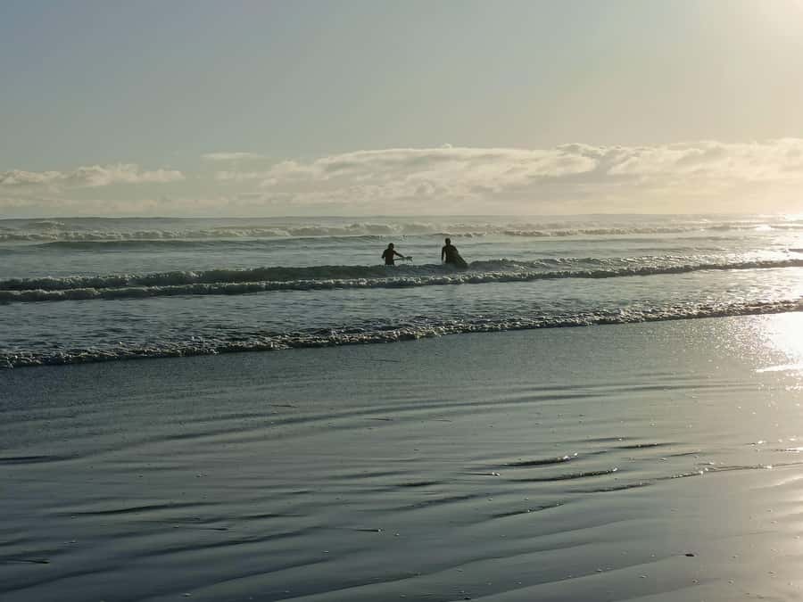 “City & Coast & Country” – A Relaxed Day Tour from Auckland - Arataki Visitor Centre and the first big view