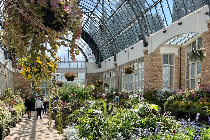City Express - Why this private Auckland tour works in five hours