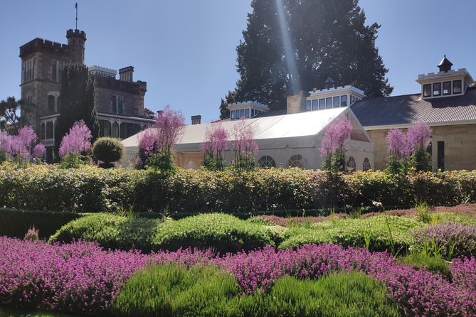 City Highlights, Larnach Castle & Peninsula Views - Key points to know before booking