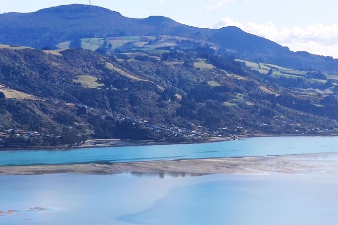 City Highlights, Larnach Castle & Peninsula Views - Otago University and Dunedin’s Edwardian character
