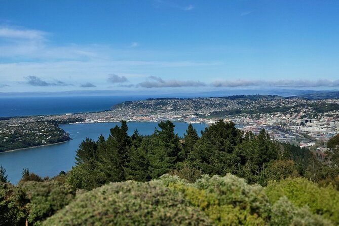 City Highlights, Larnach Castle & Peninsula Views - Otago Peninsula views finish the scenic portion