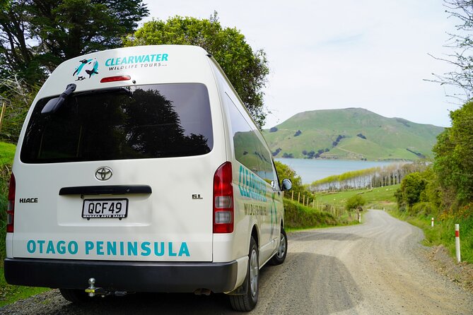 Clearwater Private Penguin & Wildlife Tour from Port Otago (5hrs) - A private beach and rare yellow-eyed penguins