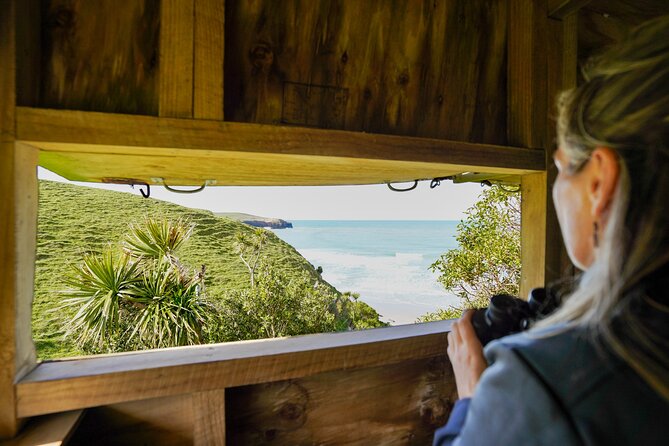 Clearwater Private Penguin & Wildlife Tour from Port Otago (5hrs) - Why the private format matters