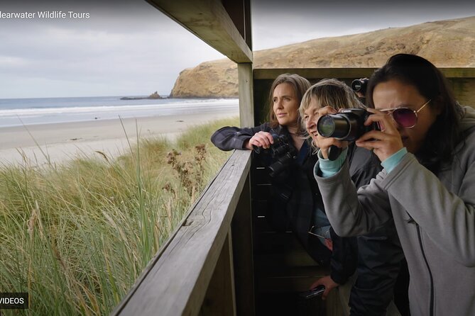 Clearwater Private Penguin & Wildlife Tour from Port Otago (5hrs) - The drive from Port Chalmers sets the tone