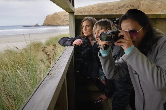 Clearwater Wildlife Tours (small group 10max) Otago Peninsula - How good is the small-group format?