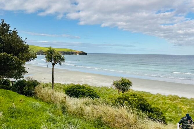 Clearwater Wildlife Tours (small group 10max) Otago Peninsula - The wildlife you might see