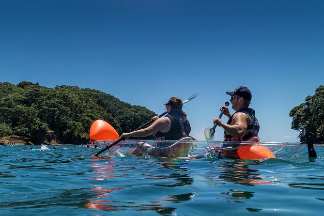 Clearyak hire at Goat Island Marine Reserve - Is $174 good value?