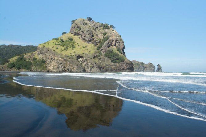 Coast and Rainforest Eco-Tour from Auckland with Picnic Lunch - Key points to know before booking