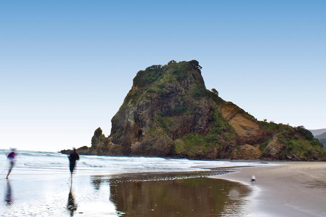 Coast and Rainforest Eco-Tour from Auckland with Picnic Lunch - Piha Beach and the hot black sand