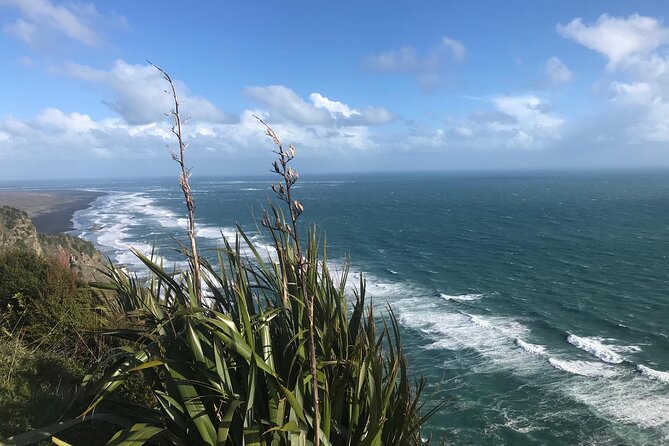 Coast and Rainforest Eco-Tour from Auckland with Picnic Lunch - Fitness, weather, and what to bring