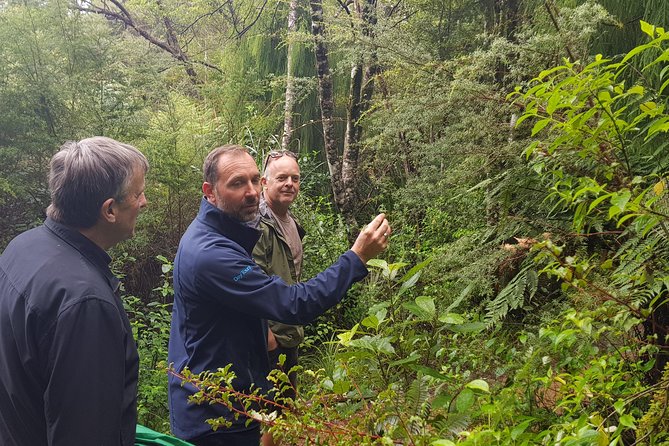 Coast and Rainforest Eco-Tour from Auckland with Picnic Lunch - Mercer Bay Loop and the west coast cliffs