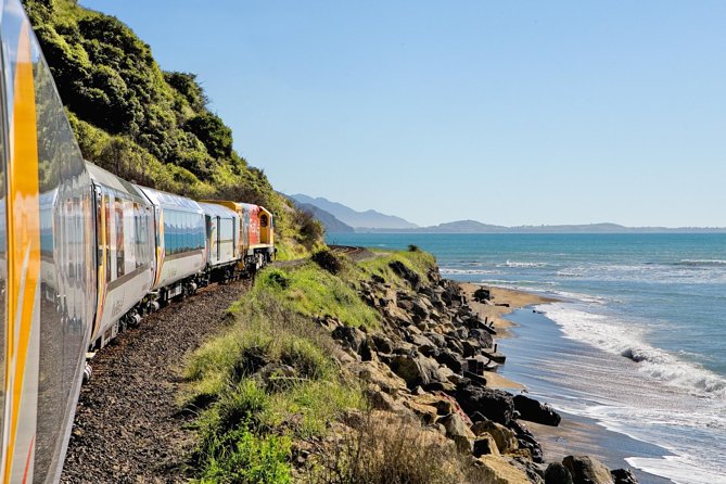 Coastal Pacific Train Journey from Christchurch to Picton - Key points to know before you book