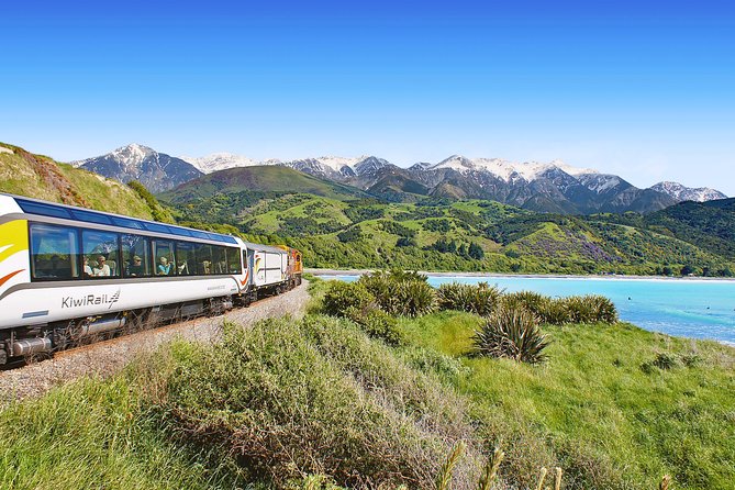 Coastal Pacific Train Journey from Christchurch to Picton - Across the Canterbury Plains toward the coast