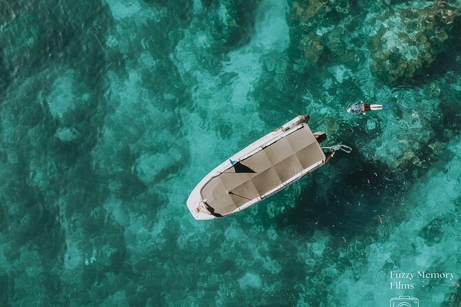 Coromandel Adventure and Wildlife Boat Tour to Aldermen Islands - Key points to know before you book