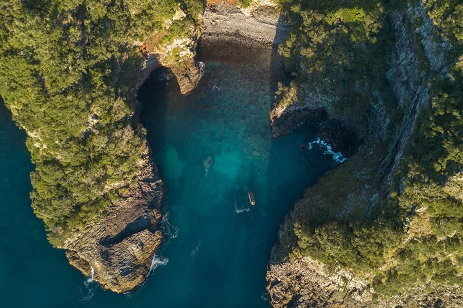 Coromandel Adventure and Wildlife Boat Tour to Aldermen Islands - One hour among the Vanishing Volcanoes