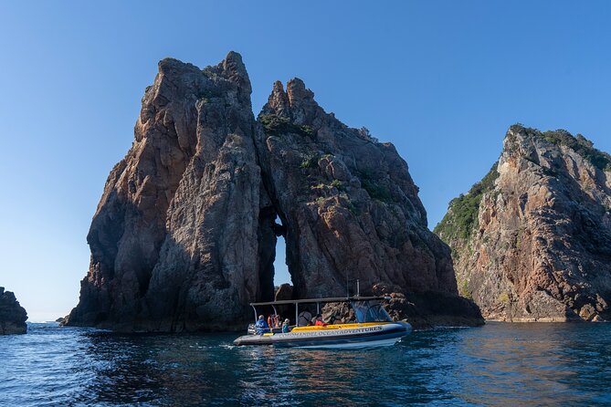 Coromandel Adventure and Wildlife Boat Tour to Aldermen Islands - Snorkelling, rays, and life below the surface
