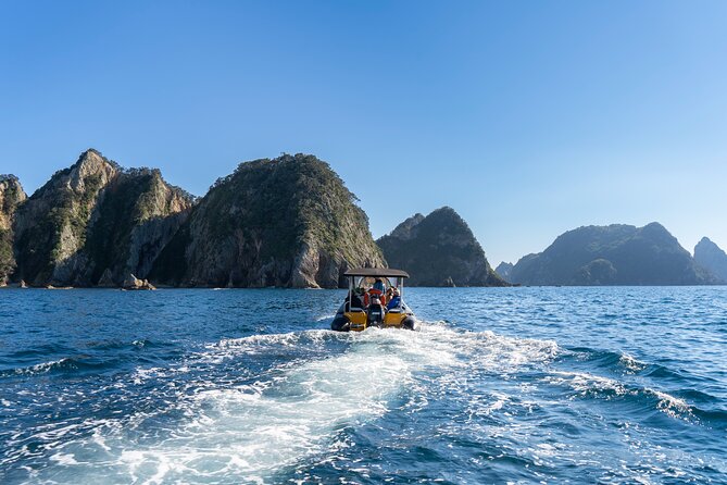 Coromandel Adventure and Wildlife Boat Tour to Aldermen Islands - What the $102.39 price buys you