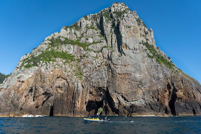 Coromandel Adventure and Wildlife Boat Tour to Aldermen Islands - Who will enjoy this Coromandel outing most
