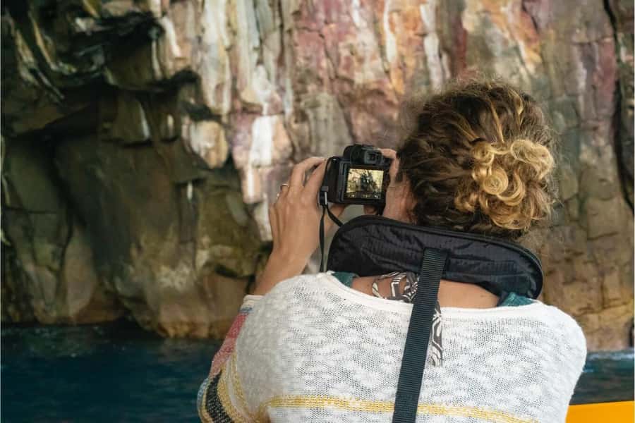 Coromandel: Aldermen Islands Marine Reserve Wildlife Cruise - Who should book this cruise?