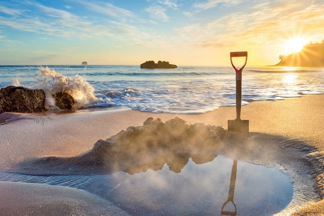 Coromandel Coastal Experience - Small Group Tour from Auckland - Key points to know before you book