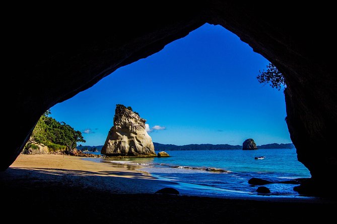 Coromandel Coastal Experience - Small Group Tour from Auckland - The 7:00 am Auckland pickup