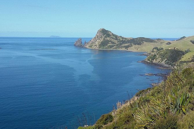 Coromandel Coastal Experience - Small Group Tour from Auckland - Two hours at Hot Water Beach