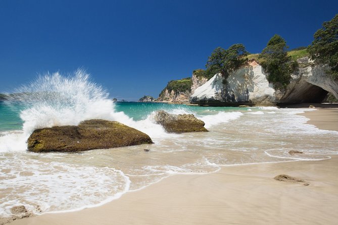 Coromandel Coastal Experience - Small Group Tour from Auckland - Is the displayed price good value?