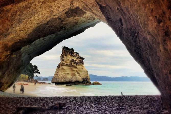Coromandel Coastal Experience - Small Group Tour from Auckland - Weather, tides, and the practical limits