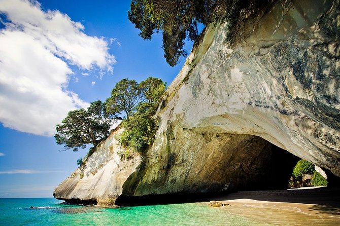 Coromandel Coastal Experience - Small Group Tour from Auckland - Thames, coffee, and a useful break