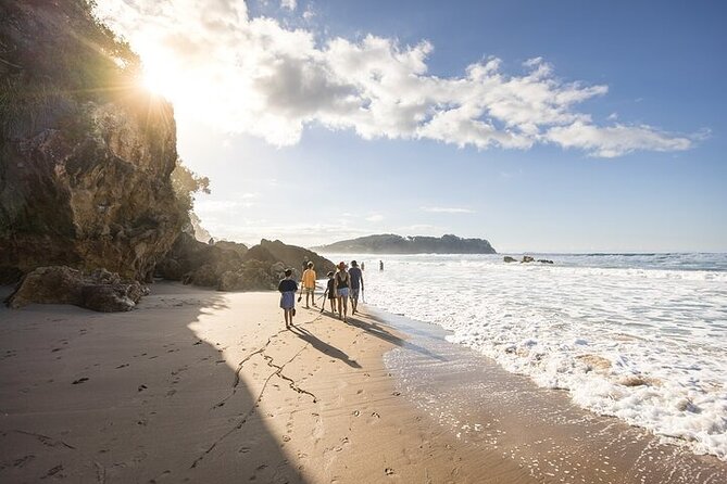 Coromandel Day Tour From Auckland - Riding the one-hour Driving Creek Railway