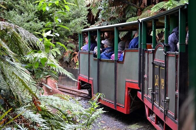 Coromandel Day Tour From Auckland - Who will enjoy this 12-hour outing