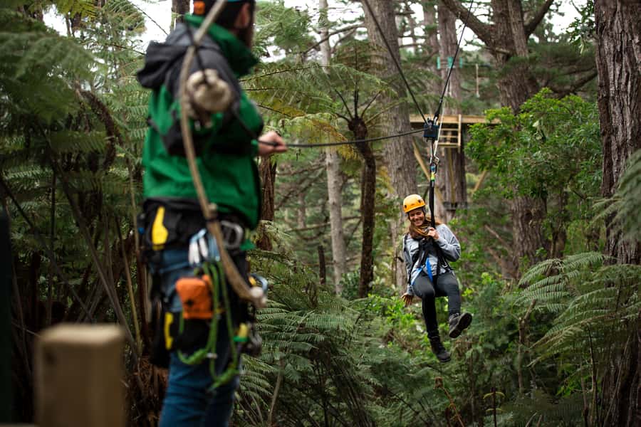 Coromandel: Guided Zipline Tour Experience - Why the railway ride matters