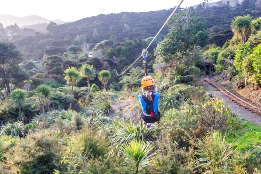 Coromandel: Guided Zipline Tour Experience - From kauri logging to forest recovery
