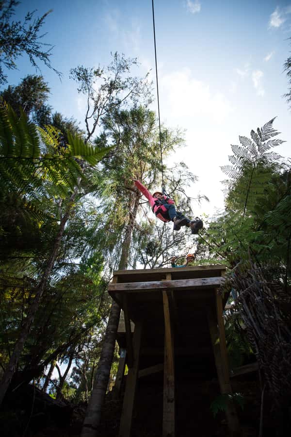 Coromandel: Guided Zipline Tour Experience - What the guides add