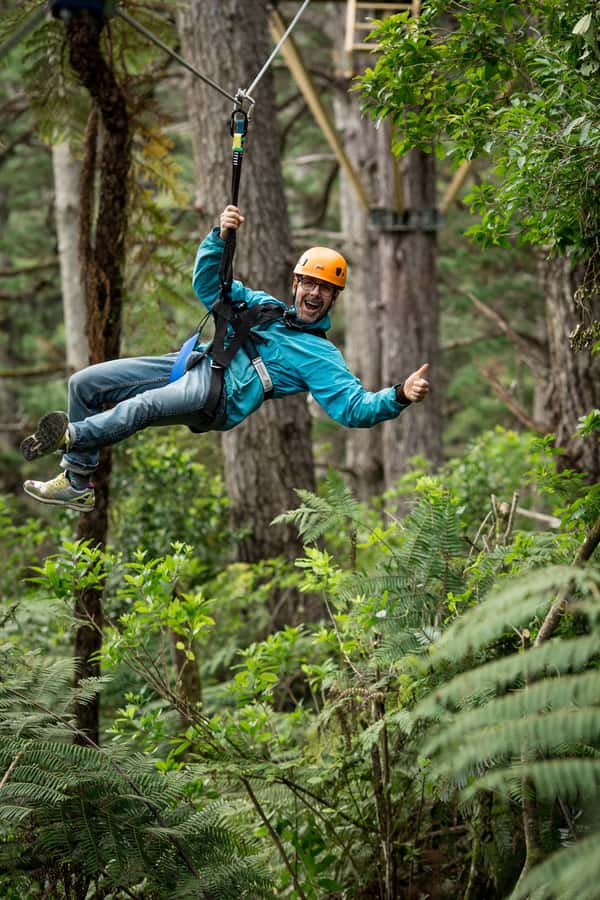 Coromandel: Guided Zipline Tour Experience - Who should book this experience?