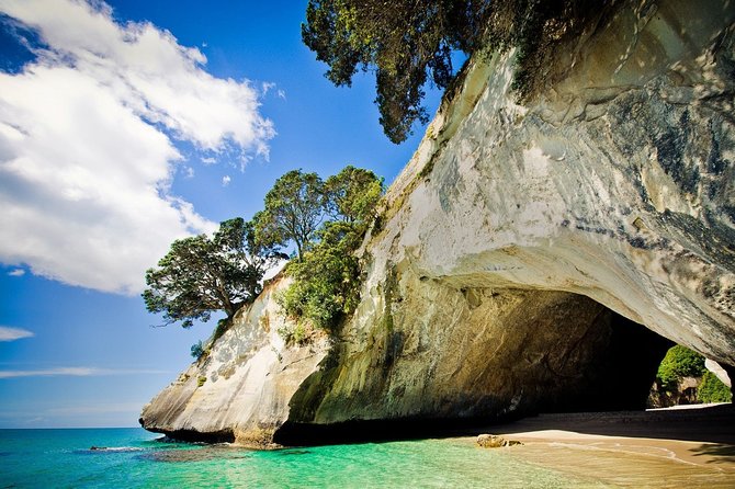 Coromandel Peninsula Discovery - Private Tour From Auckland - Why this Coromandel day trip works