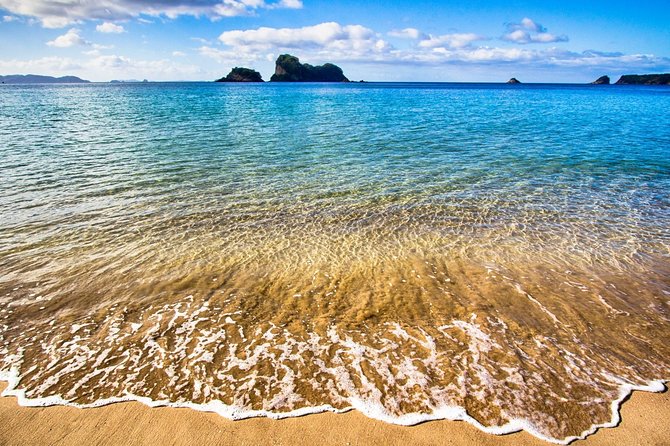 Coromandel Peninsula Discovery - Private Tour From Auckland - Cruising the coast to Cathedral Cove