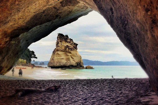 Coromandel Peninsula Discovery - Private Tour From Auckland - The guide and the private format